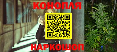 шишки Чебоксары